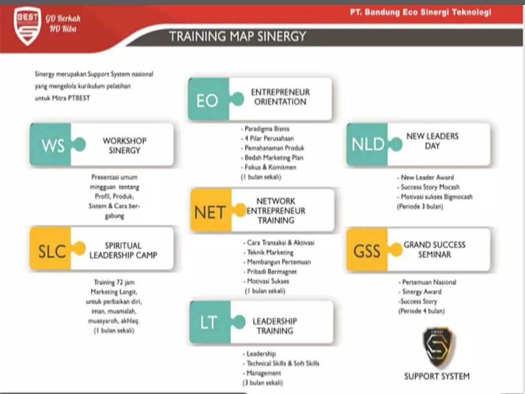 training-map-sinergy-2