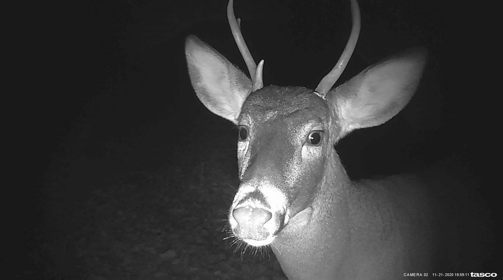 185AABF7-53C0-4F15-A715-871F3F98F10F