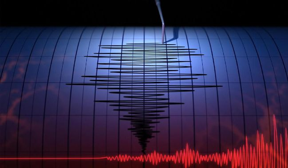 BMKG Ungkap 40 Gempa Terjadi di Maluku Sepanjang Minggu Ini