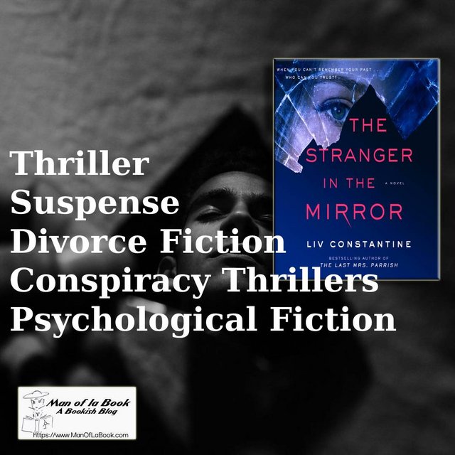 Feature The Stranger in the Mirror by Liv Constantine Feature The Stranger in the Mirror by Liv Constantine