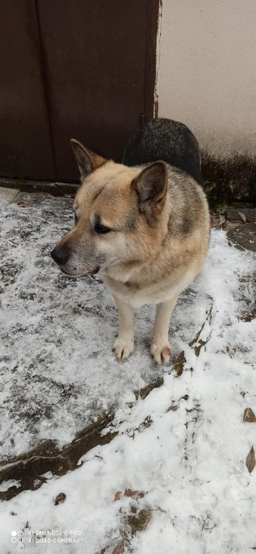 ADDE786A-5AA0-4E70-9760-CB3EB2560A27