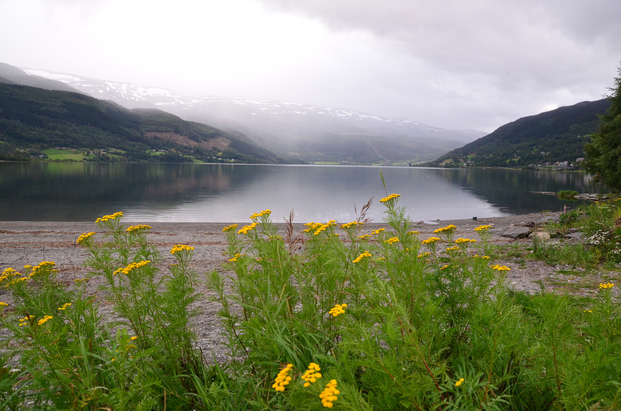 Noruega 10 días de cabañas y con niños - Blogs de Noruega - ETAPA 7- Crucero por el Fiordo Nærøyfjordenr, desde Kaupanger a Gudvangen (19)