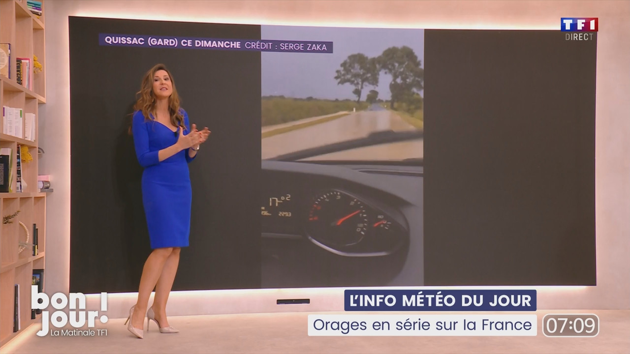 Bonjour Daniela 120525.mp4_snapshot_00.19.44.020