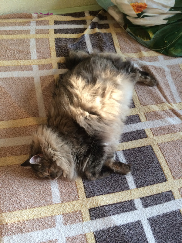 B5BCE9FE-8C62-454D-9B1F-A894F6A13C94