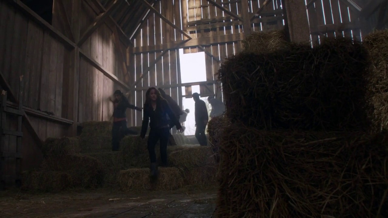 Scarecrow-2013-Hindi-Multi-Blu-Ray-1080p-x264-AVC-AAC-6ch-ESub-mkv-0002