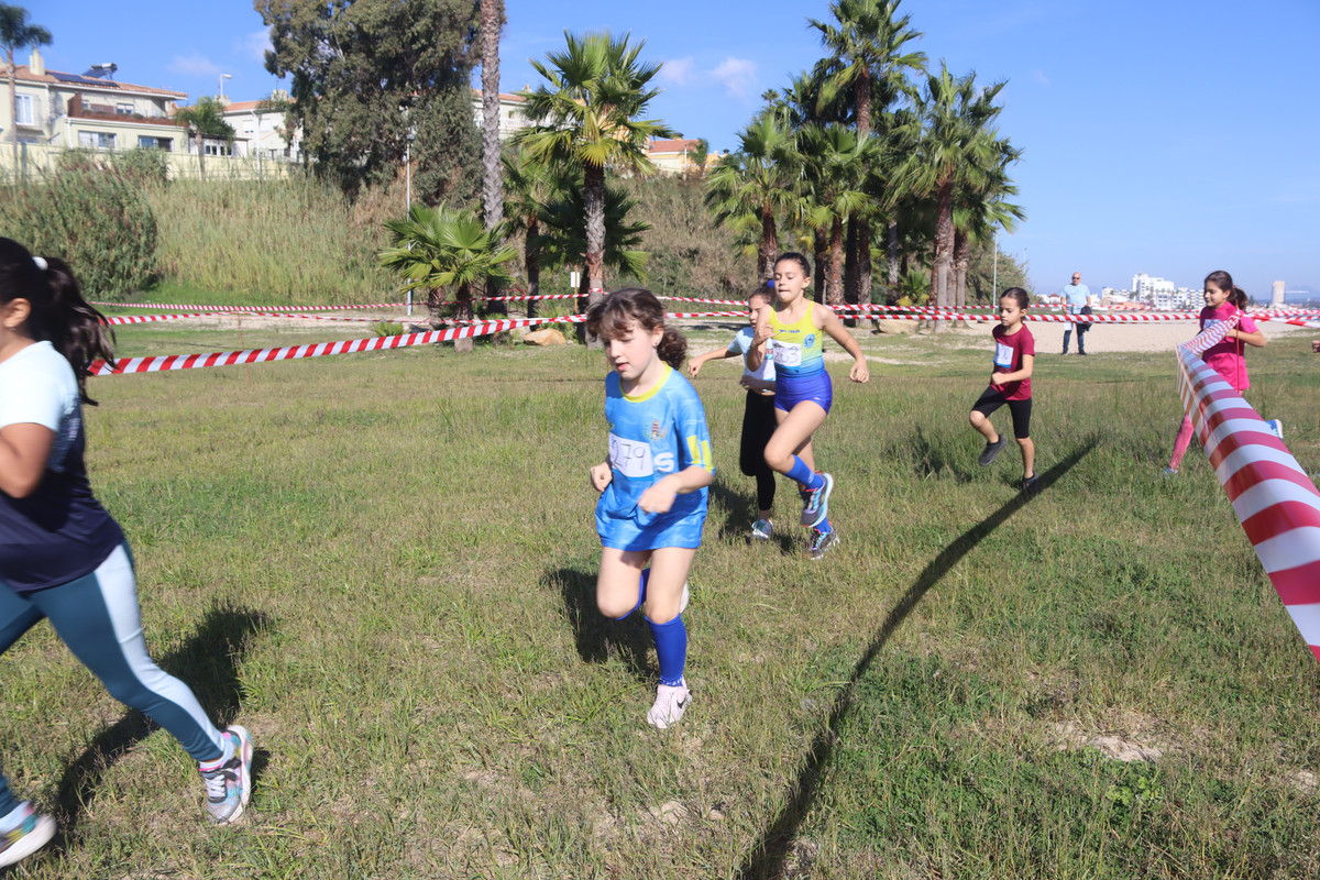 IMG-4187