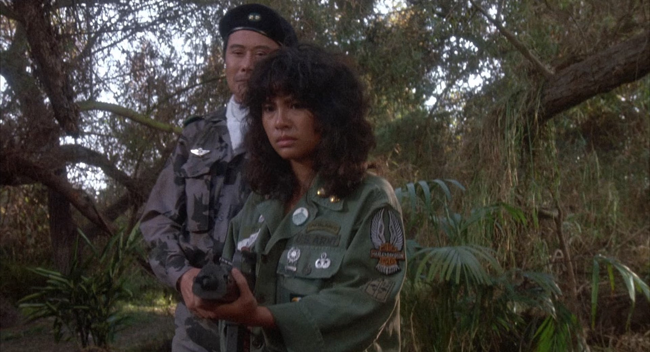 Steele Justice 1987 1080p BluRay x265 HEVC 10bit EAC3 2 0 SAMPA QxR