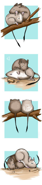 what_degus_do_by_zackichan-d73fh93 (1)