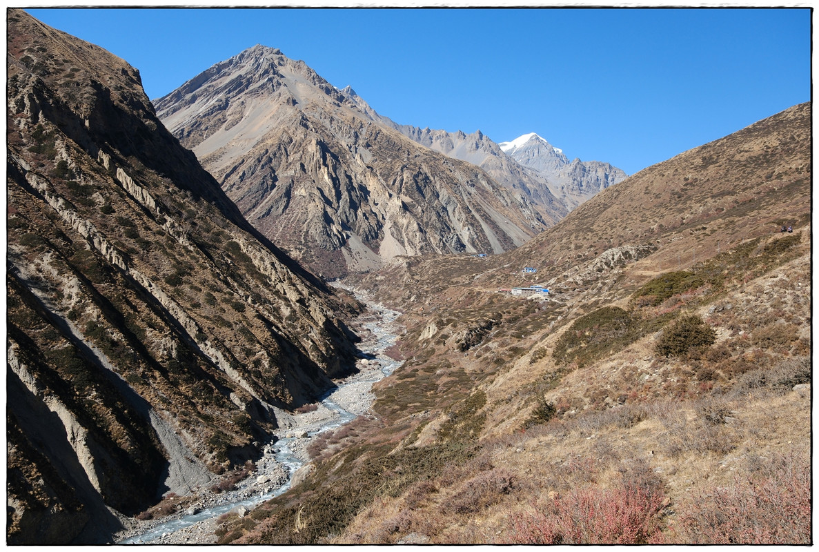 AC día 10: Shree Kharka (4067 m) a Yak Kharka (4069 m) - Trekking en Nepal: Annapurna Circuit y Mardi Himal (11)