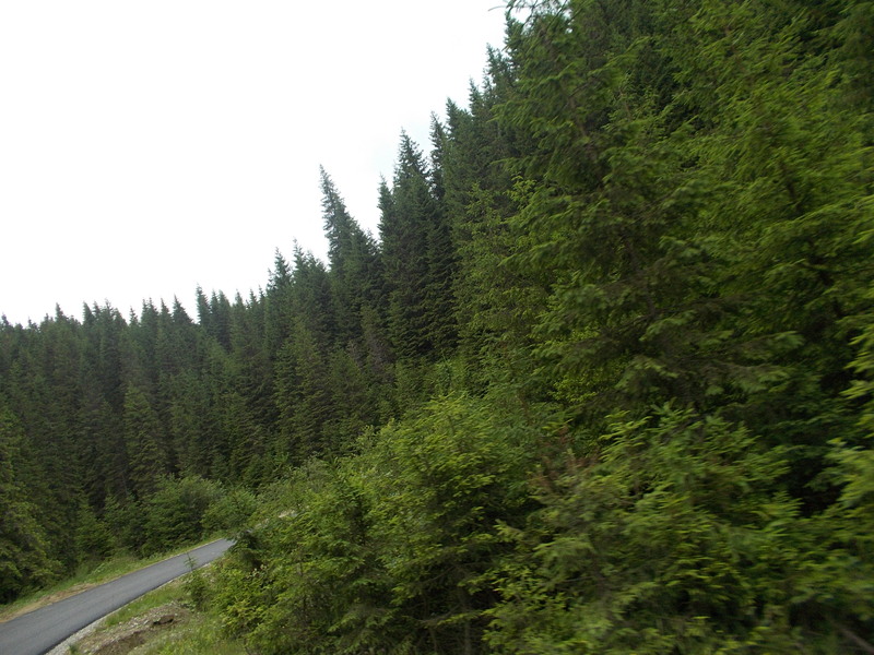 [Obrazek: DSCN2894.jpg]