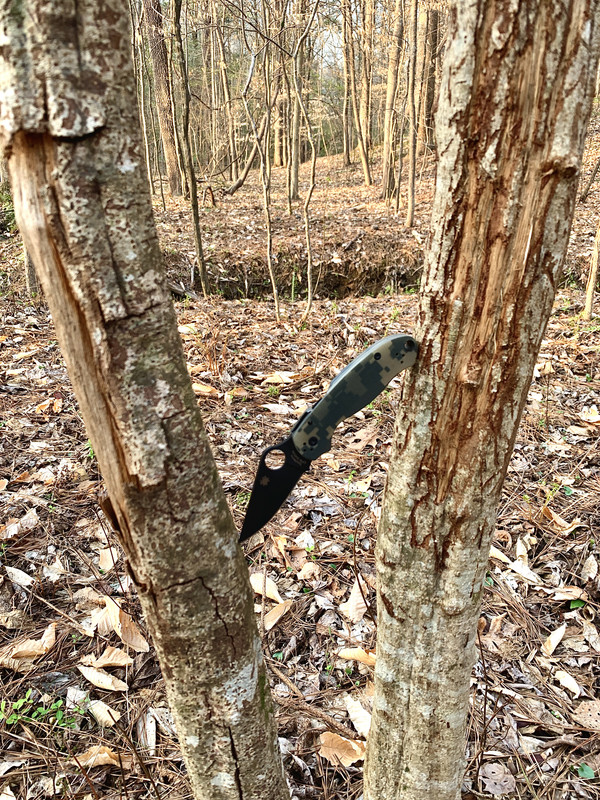 7C2DEFD6-D5BD-4DE2-AD53-63F670388EF9