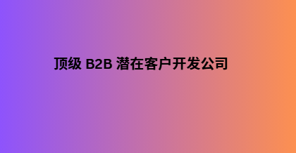 顶级 B2B 潜在客户开发公司
