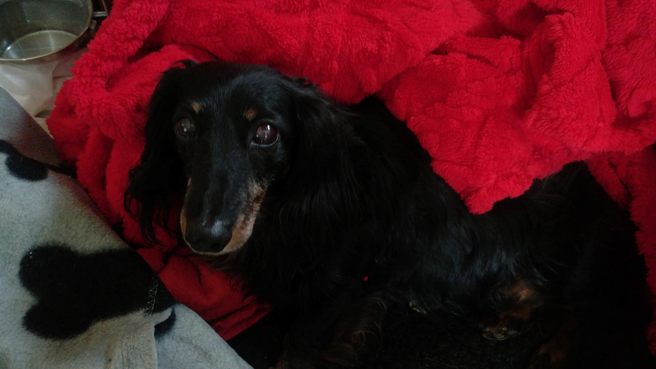 [Image: Doudou-1412241447.jpg]