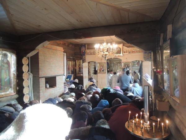 DSCN2651 (600 x 450)