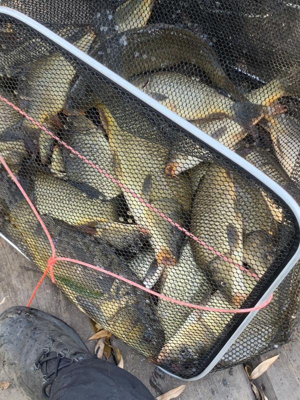 8F736DA0-2162-4863-91CD-851382B63216