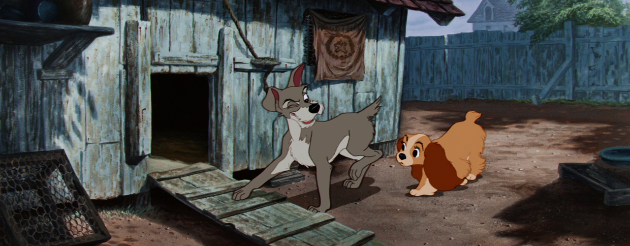 vlcsnap-2023-12-08-18h16m27s714