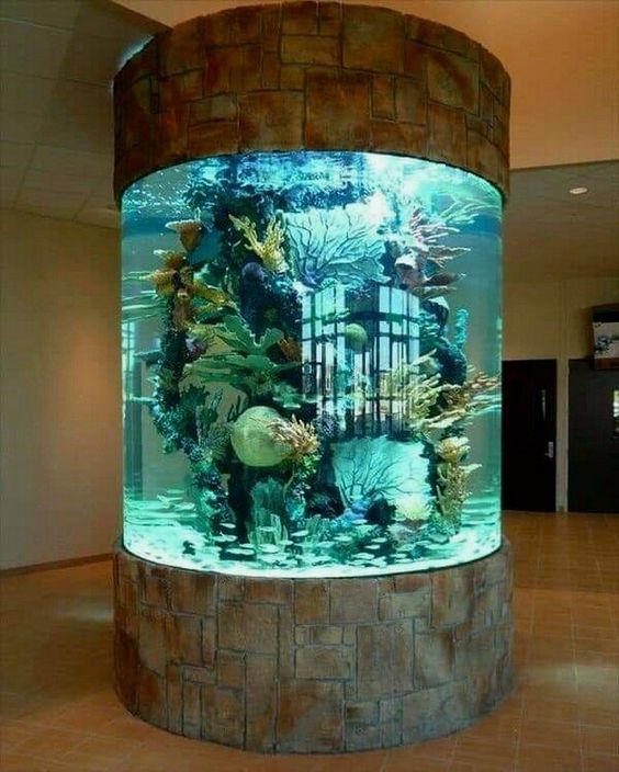 turquoiseaquarium.jpg