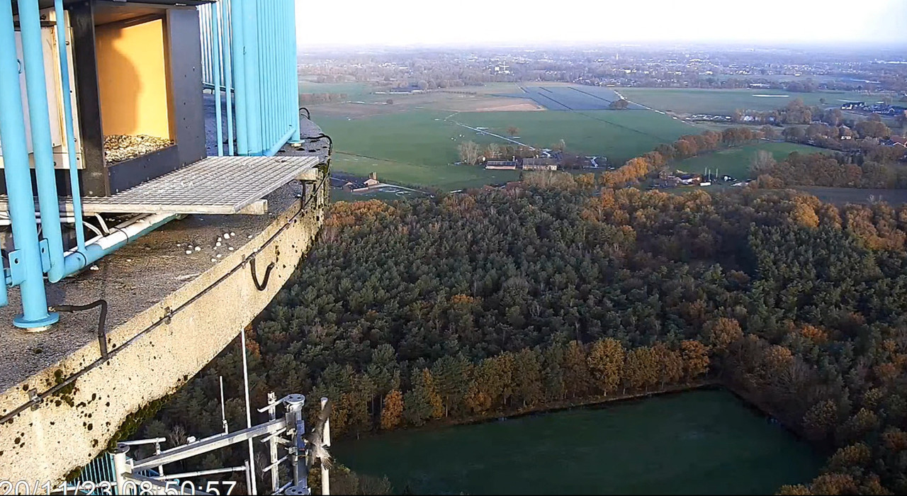 screenshots va 2 november 2023 © VWGGemert - Pagina 5 2023-11-20-085951