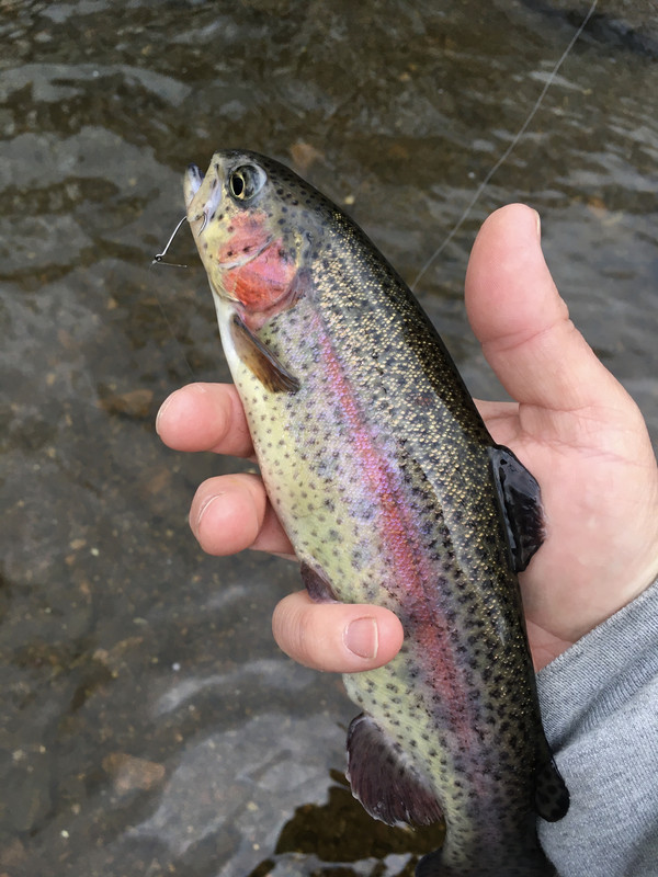 7E9642C1-2A12-4253-8C80-B2297CD08B11