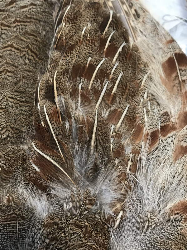 44EDDFDC-2D58-41EE-B693-BF1FCE683576