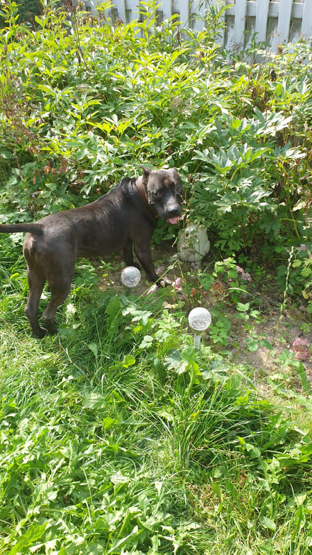 7E06759D-4621-471B-B48E-941B459F8288