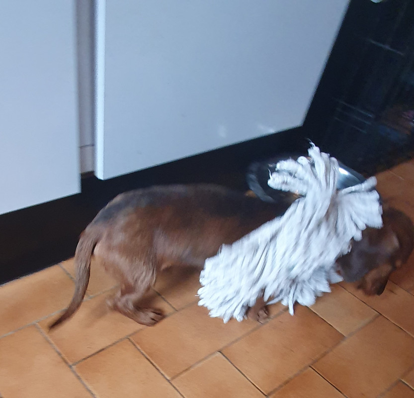 [Image: 20210212-151553.jpg]