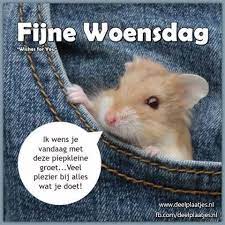 Woendsdag-groetje