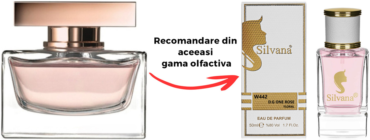 Parfum Silvana D.G. One RoseDolce Gabbana Rose The One