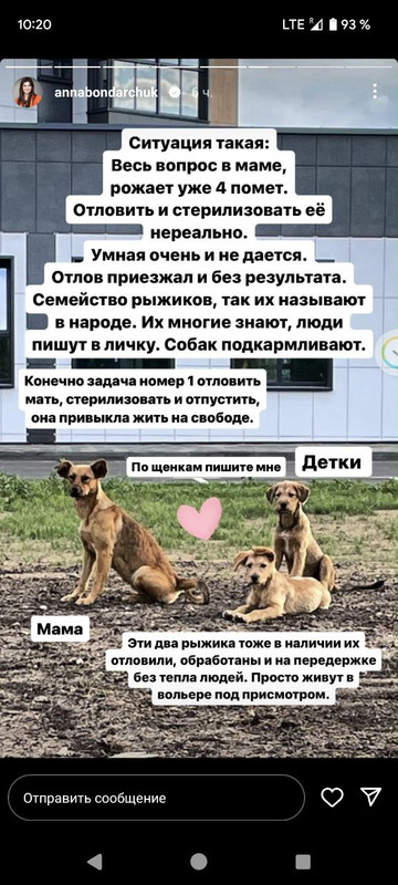 photo_2024-03-15_10-20-40 (2)