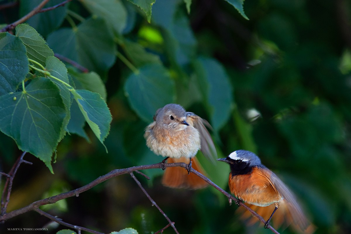 IMG_20230824_114104_069