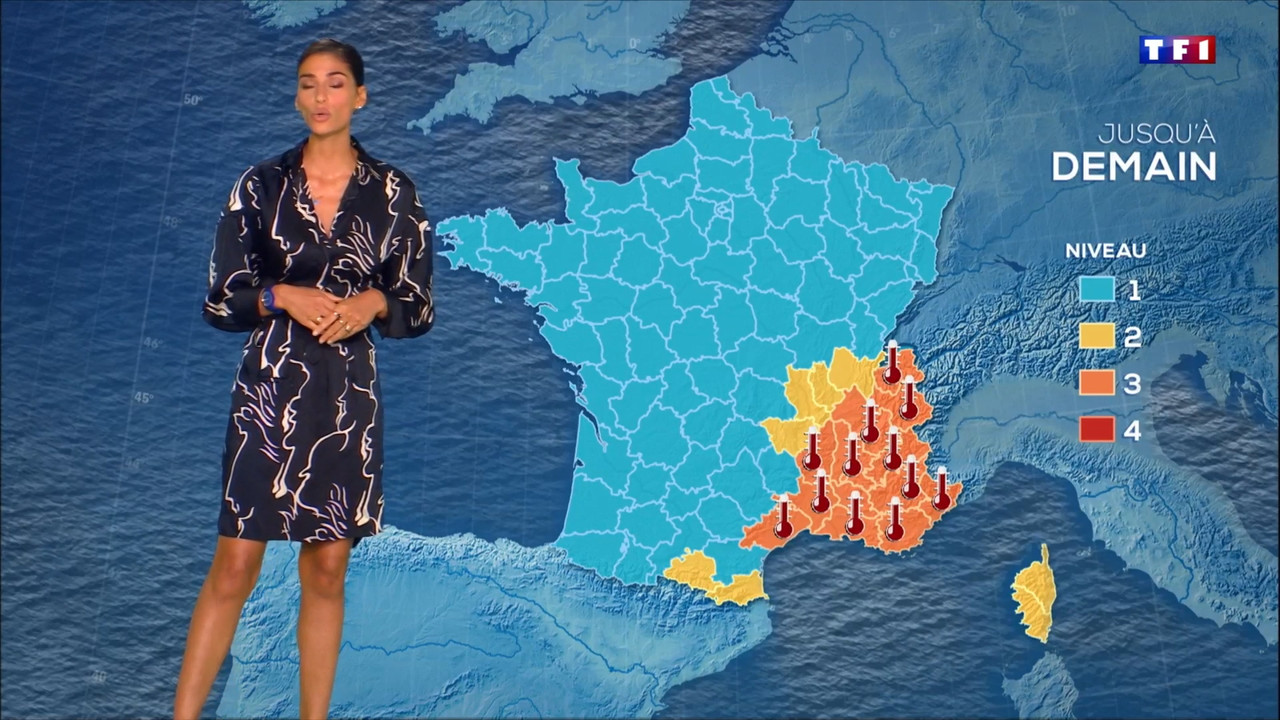 2022-07-25_20_00_TF1_Le-20h.mp4_snapshot_01.14.432