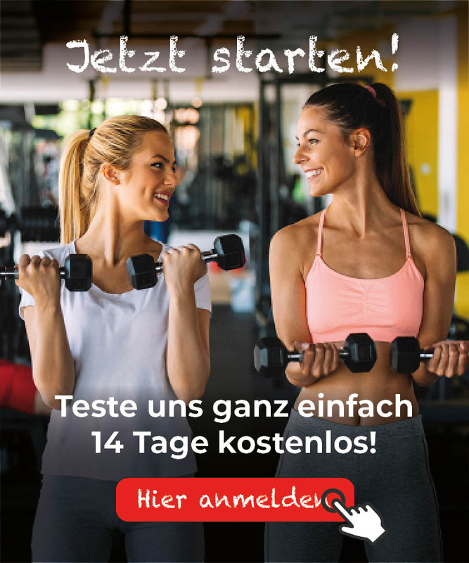 Mitfit Angebot