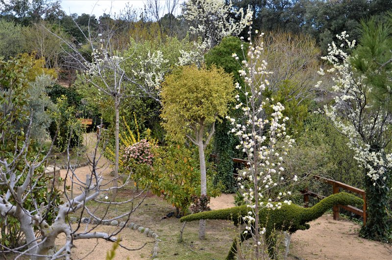 EL BOSQUE ENCANTADO-6-4-2013-MADRID - Paseando por España-1991/2016 (39)