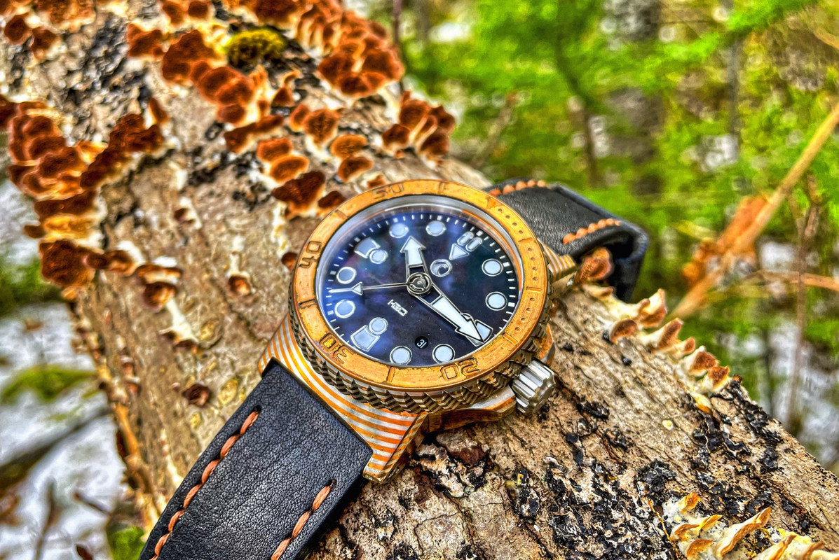 IMG_4480_1 [1600x1200]