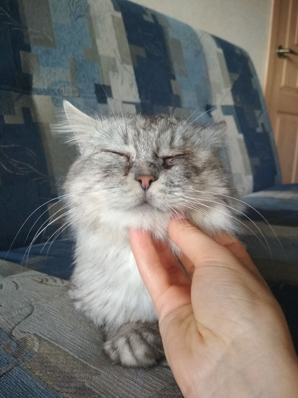 7A05052C-D50B-4E13-8414-CB44260591A3