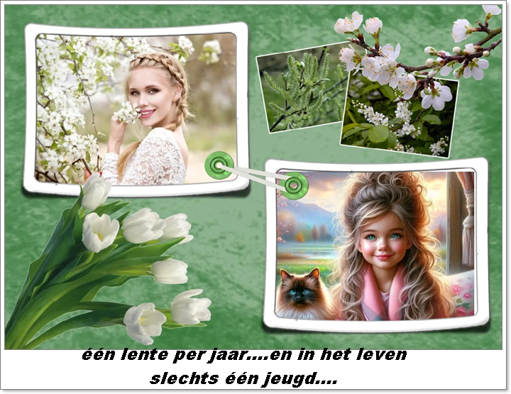 Klik op de afbeelding om de link te volgen