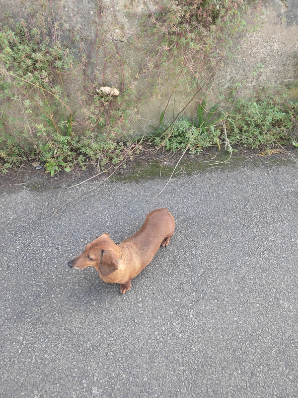 [Image: IMG-20251007-161227.jpg]