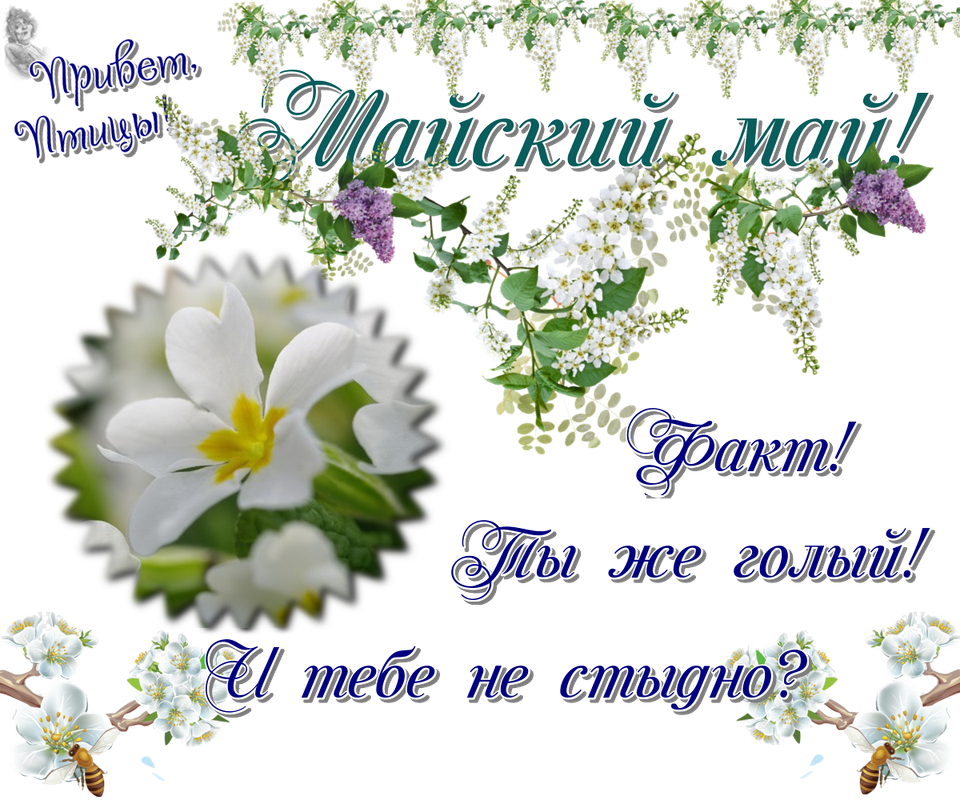 https://i.postimg.cc/T2tP3Xnh/22-05.png