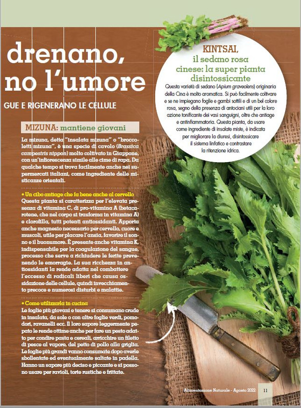 Alim Nat Ago 2022 (2)