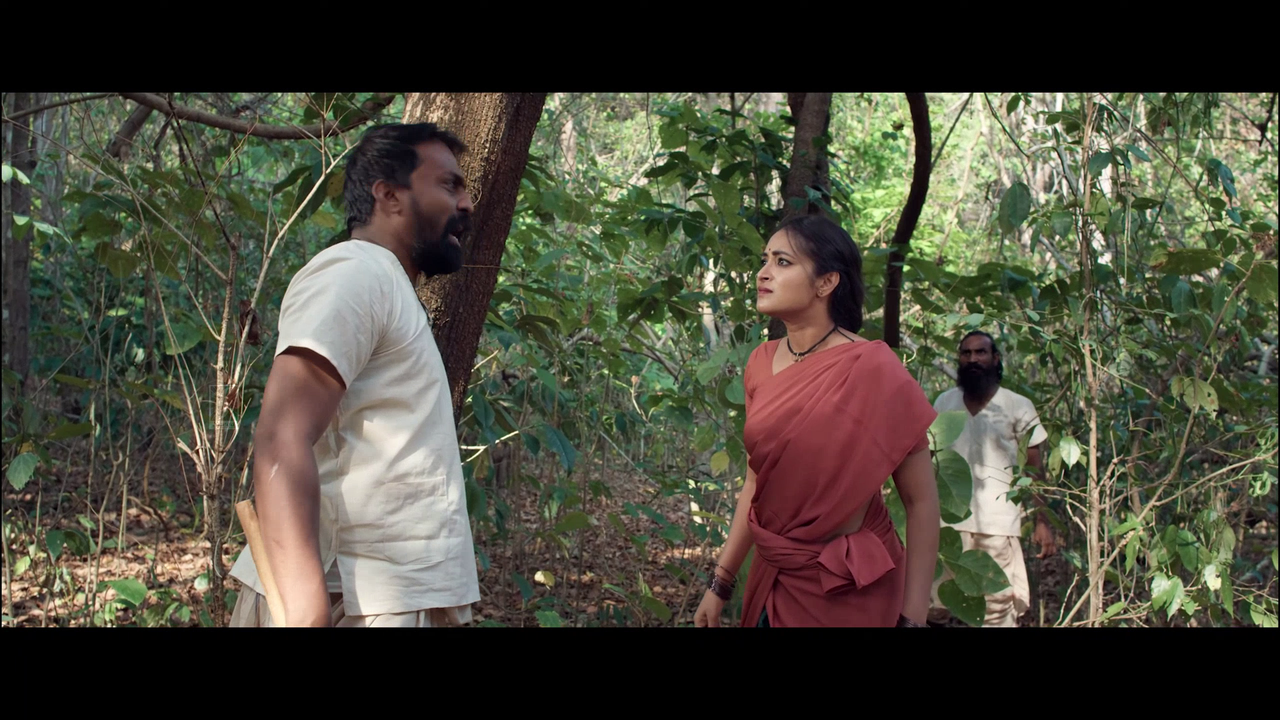 vlcsnap 2025 11 02 13h52m53s361