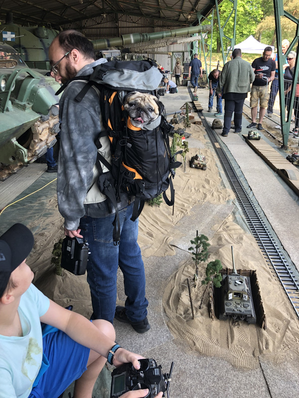 52F7CB1B-B0CC-451E-84F0-8F38FC66344A