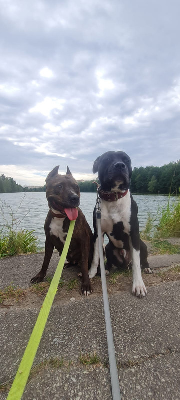 420344E2-A769-4CEB-A0B2-728EEFC6E64D