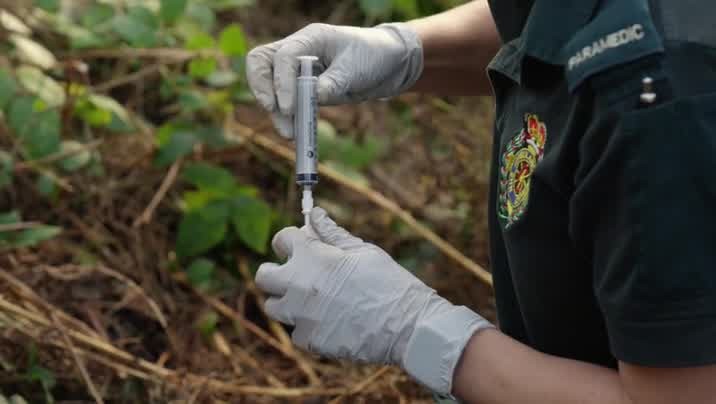 [Image: rd267j0bhhgc.jpg]