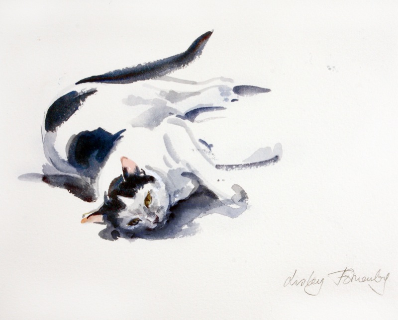 ROLLING-CAT-2-1-LF150-1