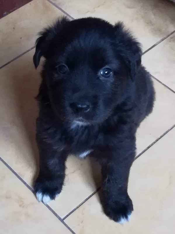 138FD2A8-ADED-4854-A39C-0AAE6C9860DF