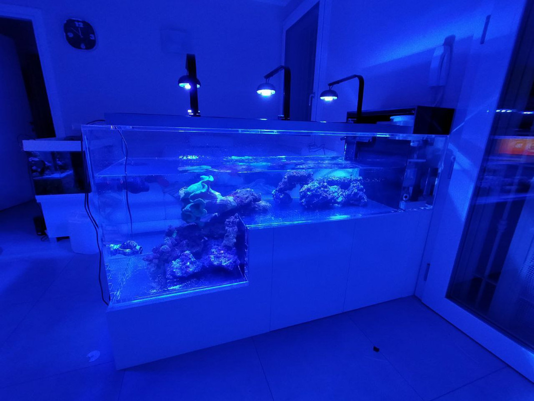 CF62A2DB-4781-4D32-BD2F-0D178F8C269A