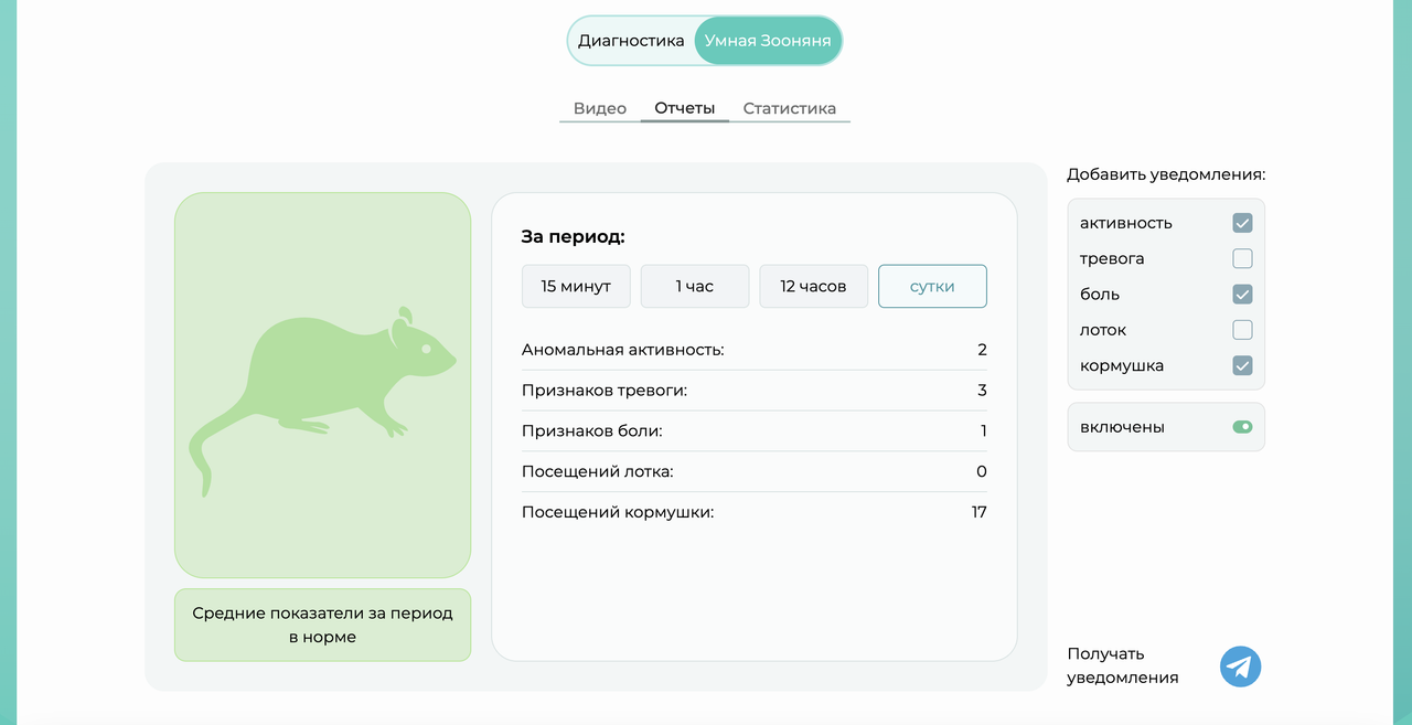 Снимок экрана 2025-01-17 в 19.10.14