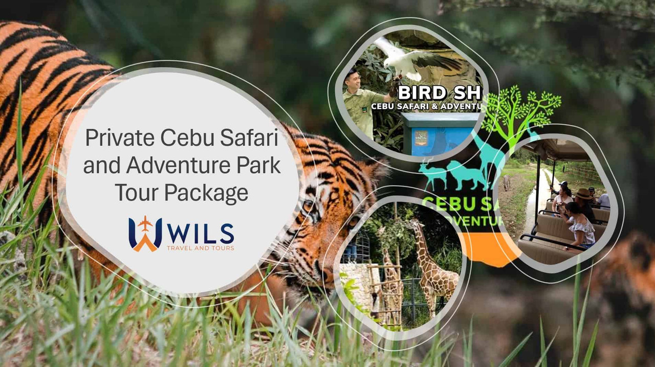 Private Cebu Safari and Adventure Park Tour Package