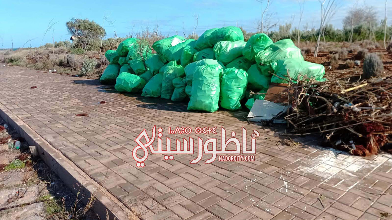 610906887-741475911890072-6656751184555152120-n