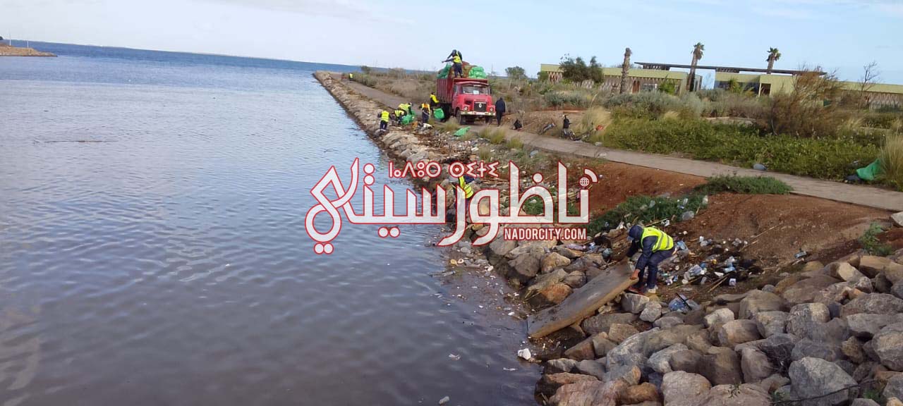 609913125-862779736390292-881771666688944417-n